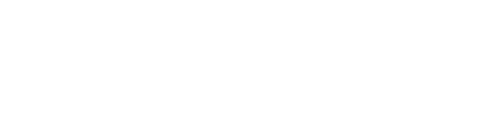 Logotipo en blanco de BigMat Rosalesa